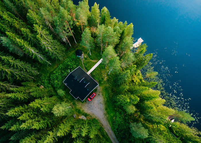 House In Woods